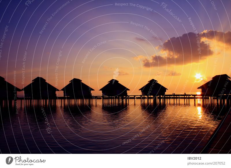 Das Paradies sagt Gute Nacht! Ferne Sommerurlaub Sonne Meer Insel Malediven Wasser Himmel Wolken Sonnenlicht Erholung exotisch Sehnsucht träumen Asien