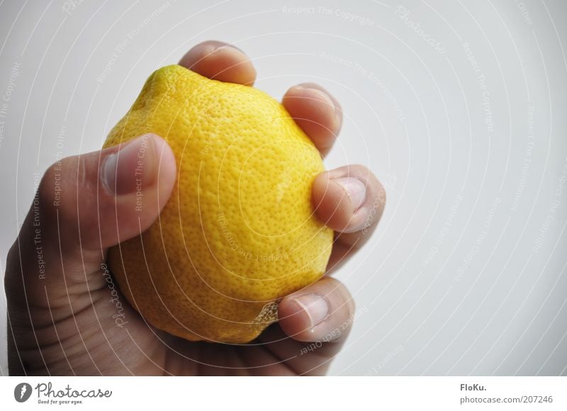 VItamine fest im Griff Lebensmittel Frucht Ernährung Bioprodukte Vegetarische Ernährung Fasten Hand frisch sauer süß gelb weiß Zitrone zitronengelb drücken