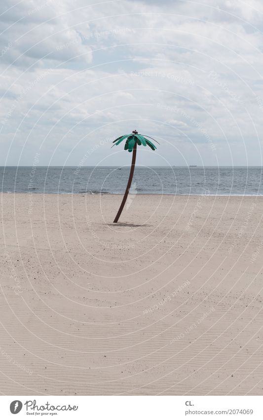 fake palm tree Ferien & Urlaub & Reisen Tourismus Sommerurlaub Strand Meer Insel Wellen Umwelt Natur Landschaft Urelemente Sand Wasser Himmel Wolken Klima