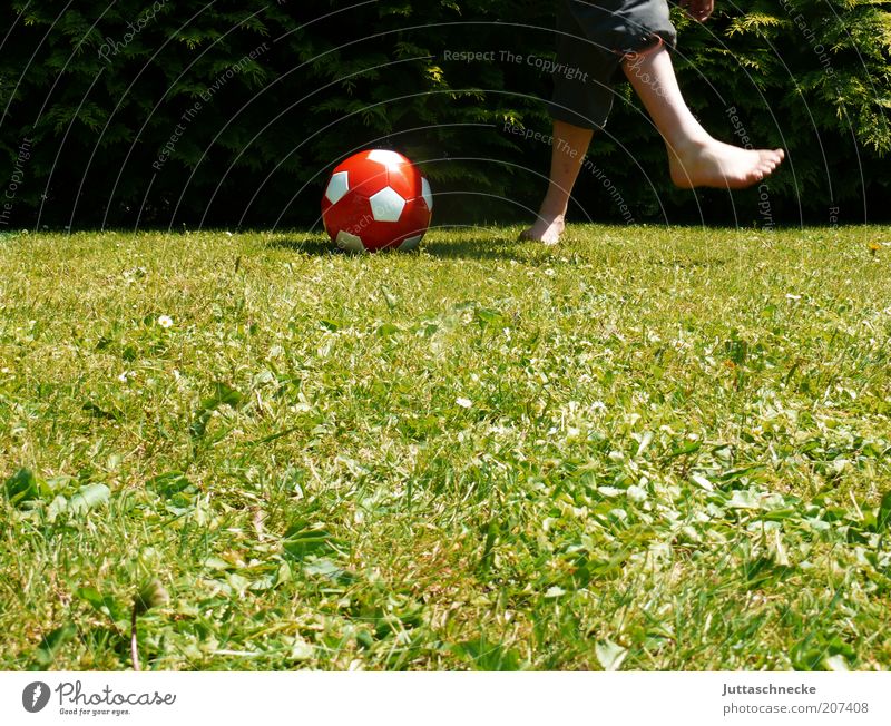 Newtonsches Tangentenverfahren ... Garten Sport Ballsport Fußball treten Mensch maskulin Junge Kindheit Beine 1 Sommer Wiese Bewegung laufen Freude