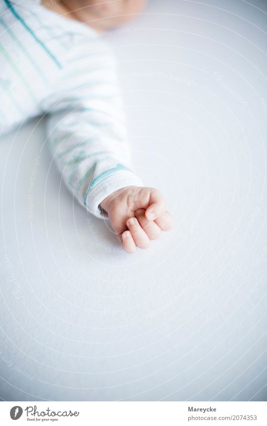 Babyhand Mensch Hand 0-12 Monate ästhetisch einzigartig Glück Lebensfreude Leichtigkeit Farbfoto Innenaufnahme Textfreiraum oben Textfreiraum unten