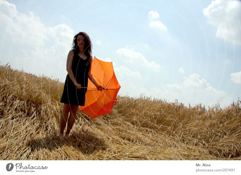 Schirmherrin feminin Frau Erwachsene Umwelt Natur Sommer Feld Kleid Regenschirm langhaarig warten dünn schwarz Glück Zufriedenheit Kornfeld sommerlich Wärme