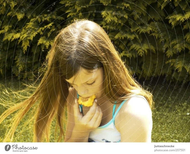 Sommersnack Frucht Pfirsich Ernährung Essen Picknick Bioprodukte Leben harmonisch Wohlgefühl Mädchen 1 Mensch 8-13 Jahre Kind Kindheit Garten Wiese blond