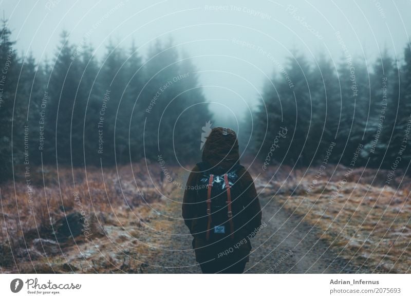 Girl In The Fog Mensch feminin Junge Frau Jugendliche Erwachsene 1 18-30 Jahre Umwelt Natur Landschaft Pflanze Erde Himmel Wolken Herbst schlechtes Wetter Nebel