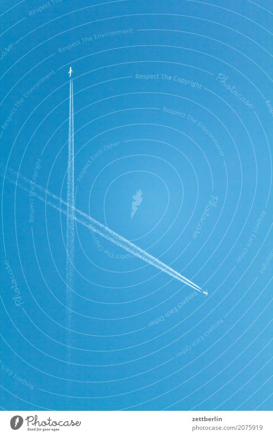 Flüchtige Begegnung Kondensstreifen Luftverkehr Flugzeug Himmel Himmel (Jenseits) Blauer Himmel himmelblau Linie Luftverschmutzung Menschenleer