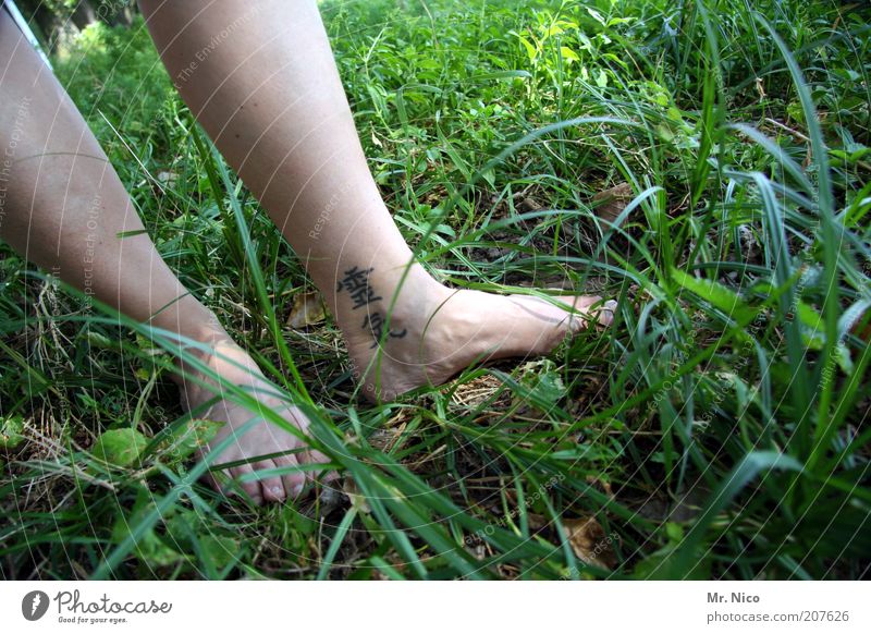 reiki Wohlgefühl Zufriedenheit Erholung ruhig Haut Beine Fuß Gras Wiese Tattoo grün Barfuß Reiki Wade Zehen Frauenbein Gesundheit Spiritualität