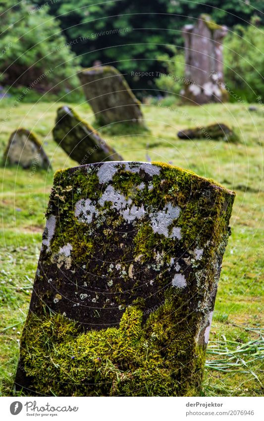 Grabstein auf Friedhof auf der Insel Isle of Skye I Ruine Kreuz Frieden Zentralperspektive Textfreiraum Mitte Großbritannien Tourismus Ferien & Urlaub & Reisen