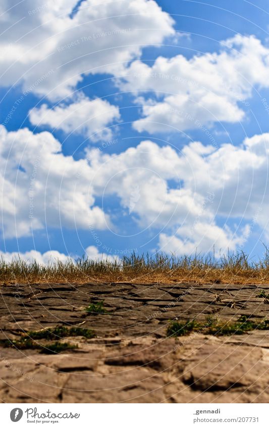 [100] Ab in den Himmel Umwelt Wolken Schönes Wetter himmelblau Himmel (Jenseits) Wege & Pfade Farbfoto Außenaufnahme Menschenleer Sonnenlicht Gras Stein Dürre