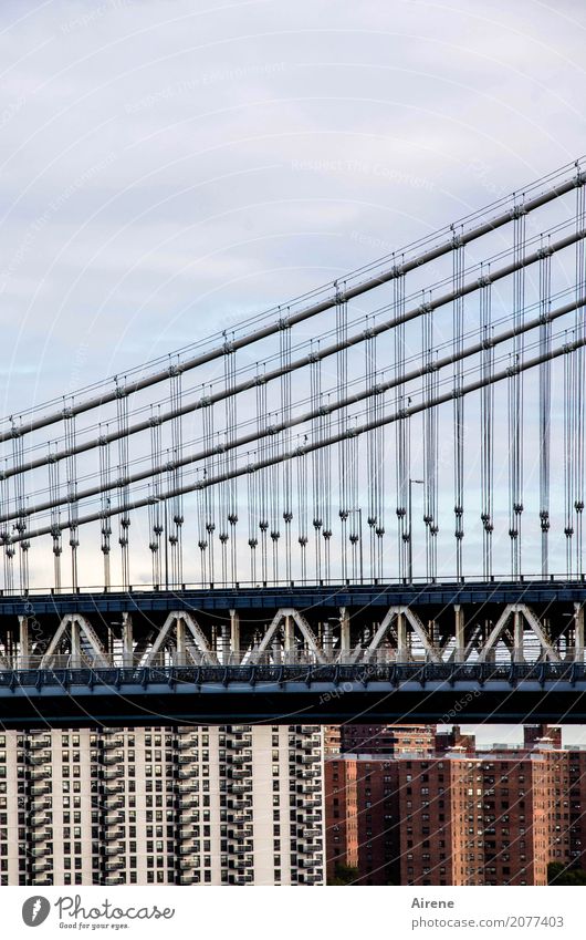 ...und drüber Sightseeing Städtereise New York City Manhattan Stadtzentrum Skyline Hochhaus Brücke Hängebrücke Sehenswürdigkeit Manhattan Bridge Beton Stahl
