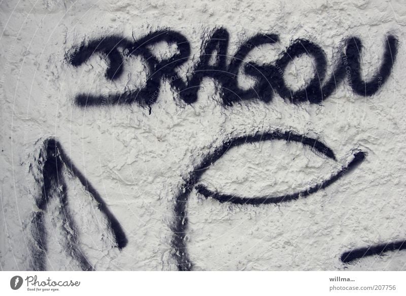 Dragon Zeichen Schriftzeichen Graffiti Mauer Wand Fassade Wort Text Putz Kritzelei Schmiererei Strukturen & Formen
