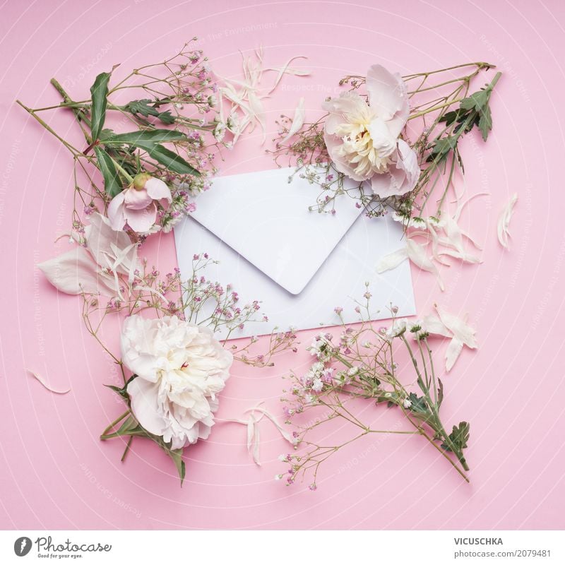 Brief Umschlag mit weißen Blumen auf rosa Hintergrund Lifestyle elegant Stil Design Sommer Feste & Feiern Valentinstag Muttertag Hochzeit Geburtstag Pflanze