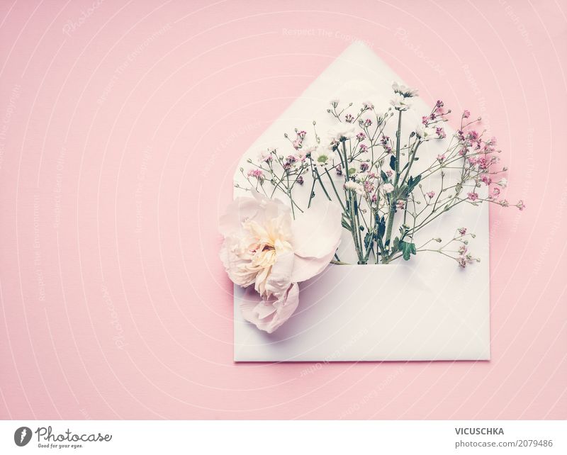 Geöffnete Briefumschlag mit Blumen Lifestyle Stil Design Dekoration & Verzierung Feste & Feiern Valentinstag Muttertag Hochzeit Geburtstag feminin Natur Pflanze
