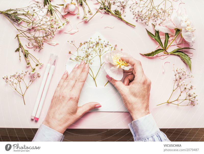 Weibliche Hände machen schönes Blumen Geschenk Lifestyle Stil Design Freizeit & Hobby Dekoration & Verzierung Feste & Feiern Valentinstag Muttertag Hochzeit