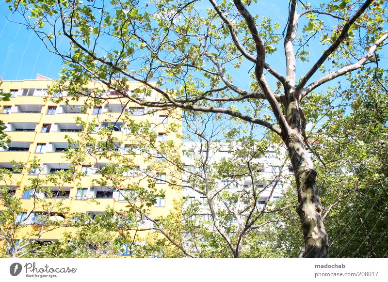 Märkisches Viertel Lifestyle Stil Umwelt Natur Landschaft Baum Berlin Haus Hochhaus Gebäude Architektur Fassade modern Frühlingsgefühle ästhetisch innovativ