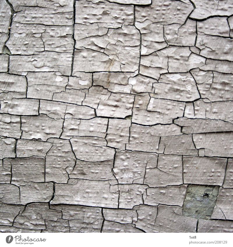 64 Jahre Menschenleer Haus alt ästhetisch dreckig einzigartig kaputt Wand Lack blättern blätternd Riss Blase Bröckchen Putz Mauer Farbfoto Nahaufnahme