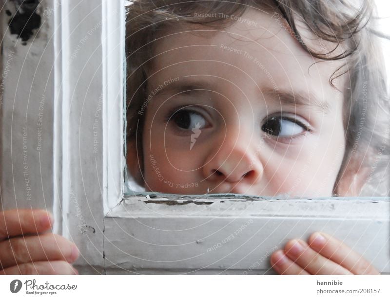 platt Mensch Kind Junge Gesicht Finger 1 3-8 Jahre Kindheit Blick weiß Neugier Interesse Fensterscheibe Fensterrahmen Nase platte Nase abgesplittert Farbfoto