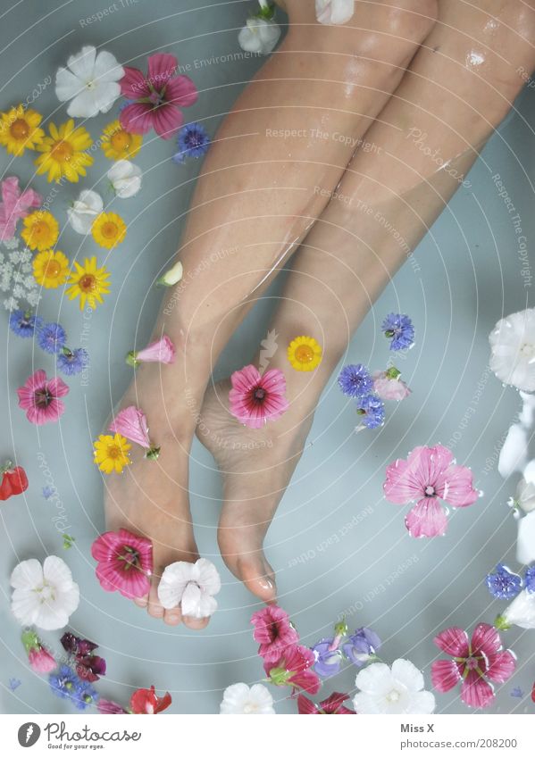 Blütenmeer schön Körperpflege Wellness Wohlgefühl Zufriedenheit Erholung Duft Kur Spa Schwimmen & Baden feminin Beine Fuß 1 Mensch Wasser Blume Blühend rein
