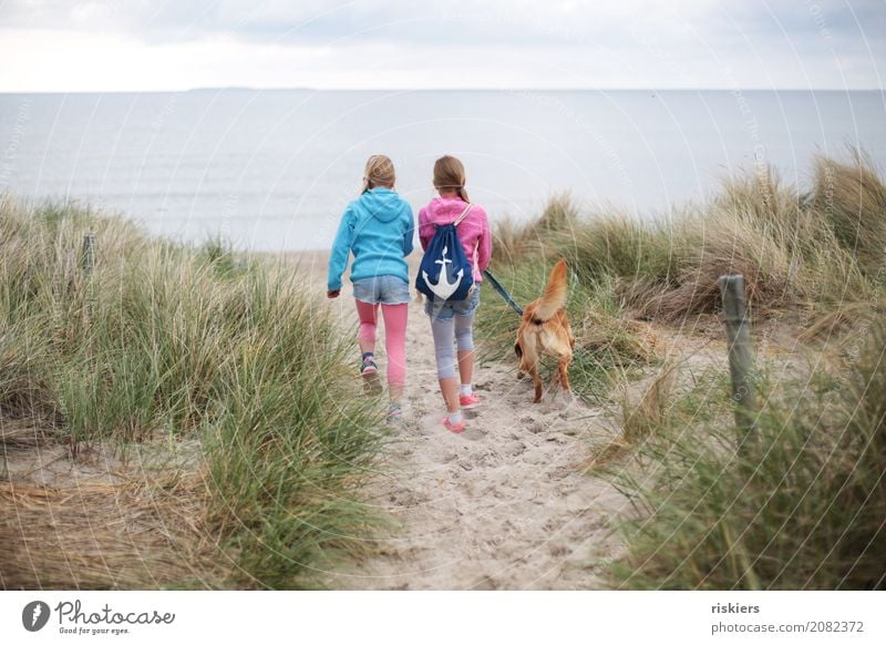 Strandspaziergang ii Mensch Kind Mädchen Geschwister Schwester Familie & Verwandtschaft Kindheit 2 Umwelt Natur Landschaft Ostsee Tier Haustier Hund 1 entdecken