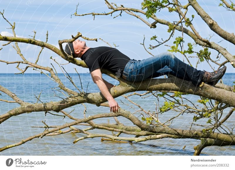 Mann entspannt auf einem Baum am Strand der Ostsee Lifestyle Stil Freude Gesundheit Wellness harmonisch Wohlgefühl Zufriedenheit Erholung