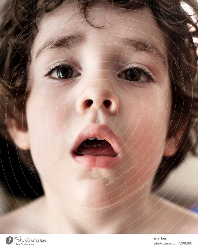 jim morrison jr. Kind Junge Gesicht 1 Mensch 3-8 Jahre Kindheit Blick hoch verschwenden Farbfoto Innenaufnahme Tag Schwache Tiefenschärfe Zentralperspektive