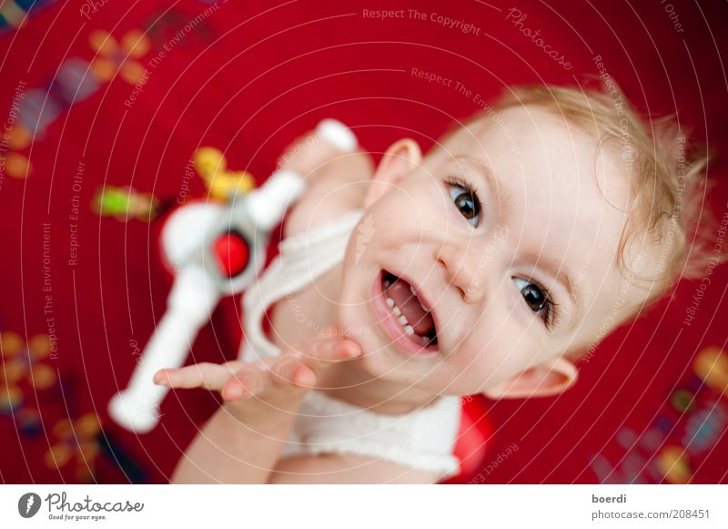 dÜsn Spielen Kind Mädchen Kopf Gesicht 1-3 Jahre Kleinkind Spielzeug Lächeln lachen Blick frech Fröhlichkeit lustig rot Stimmung Freude Lebensfreude