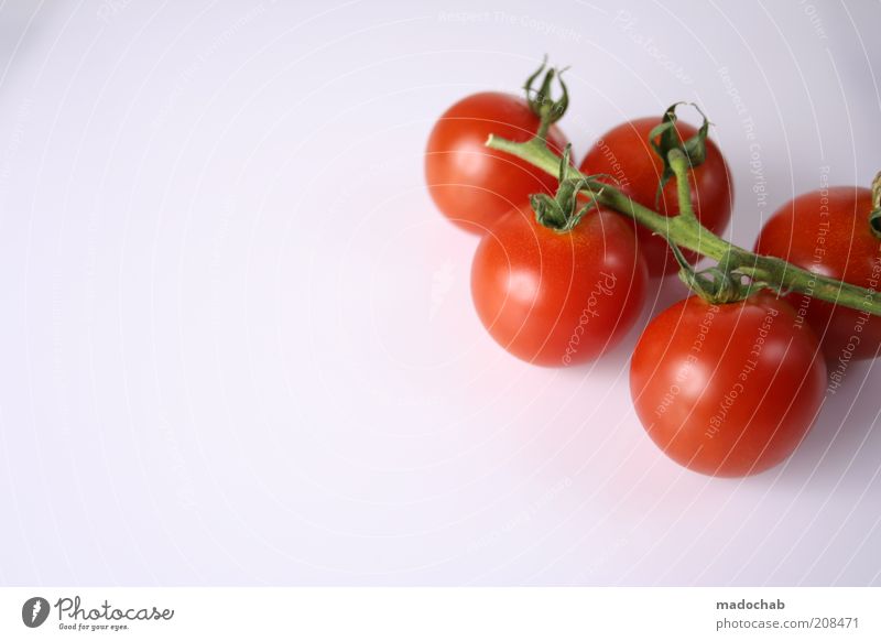 Wasserbomben Lebensmittel Gemüse Tomate Ernährung Bioprodukte Vegetarische Ernährung Diät Gesundheit Natur Pflanze Vitamin Zutaten Farbfoto mehrfarbig