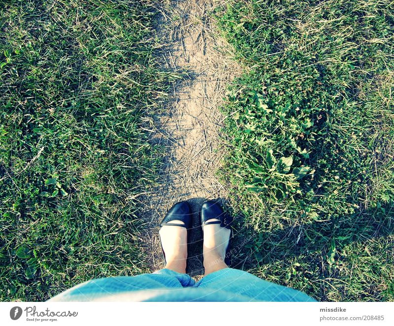 walk the line feminin Mädchen Leben Fuß 1 Mensch Erde Sommer Schönes Wetter Gras Wiese Fußgänger Jeanshose Schuhe Wege & Pfade Ferien & Urlaub & Reisen grün