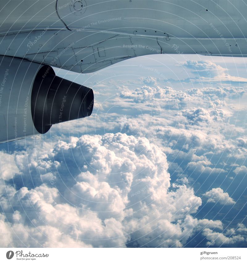 tomatensaft bitte! Motor Getriebe Technik & Technologie Luftverkehr fliegen Flugzeug Triebwerke Verkehrsmittel Wolken über den Wolken Fensterplatz