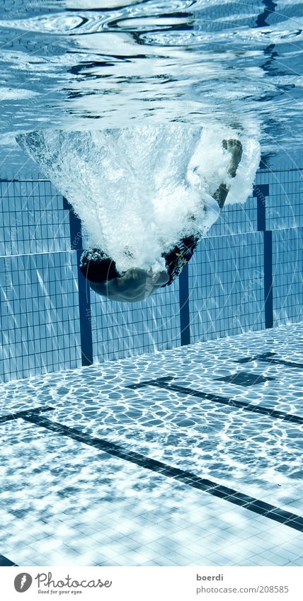 eIntrichtern Schwimmen & Baden Freizeit & Hobby Ferien & Urlaub & Reisen Sommer Sport Wassersport Sportler tauchen Schwimmbad Mensch 1 Flüssigkeit nass blau