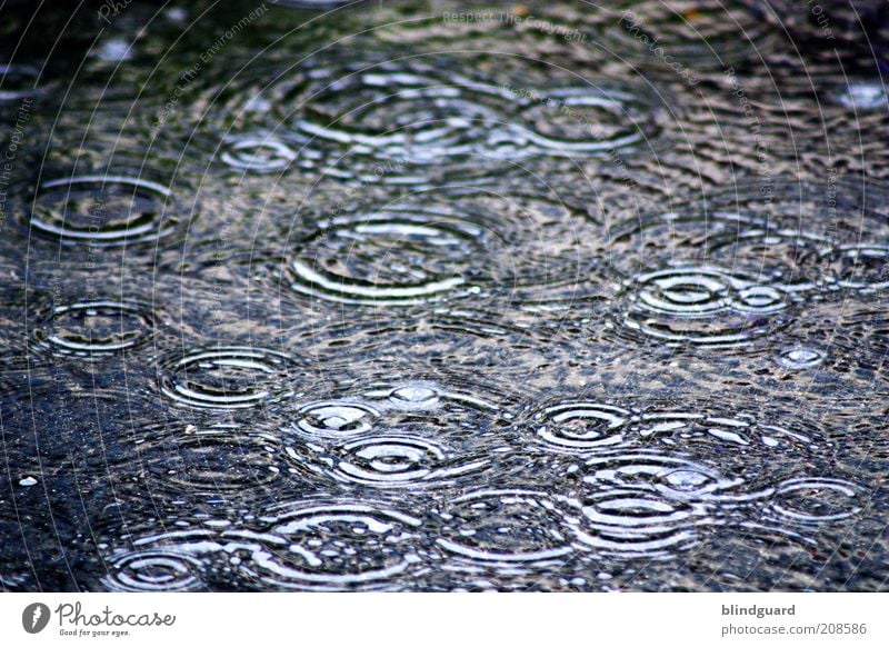 Summer Rain Wasser Wassertropfen Klimawandel Wetter schlechtes Wetter Unwetter Regen nass blau mehrfarbig schwarz Überschwemmung Kreis Farbfoto Außenaufnahme