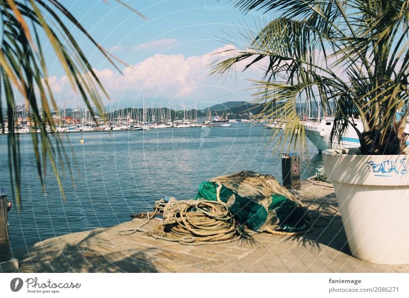 Cinque Terre XIV - La Spezia Stadt Hafenstadt heiß la spezia Ligurien Italien Palme Mittelmeer Wasserfahrzeug Leinen Seil Fischereiwirtschaft Angeln Sommer