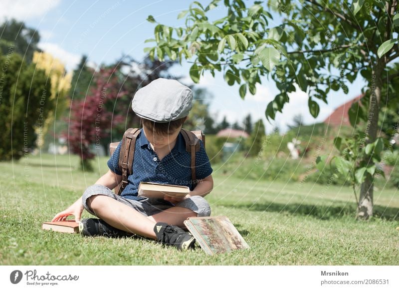 Leser lesen Abenteuer Freiheit Sommer maskulin Kind Kleinkind Junge Familie & Verwandtschaft Kindheit 1 Mensch 3-8 Jahre Garten Park beobachten lernen Blick