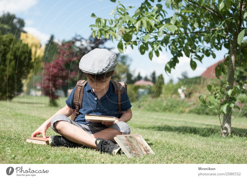 lesen Freizeit & Hobby maskulin Kind Junge Kindheit Leben 1 Mensch 3-8 Jahre Sommer Schönes Wetter Garten Wiese sitzen träumen authentisch natürlich Schulkind