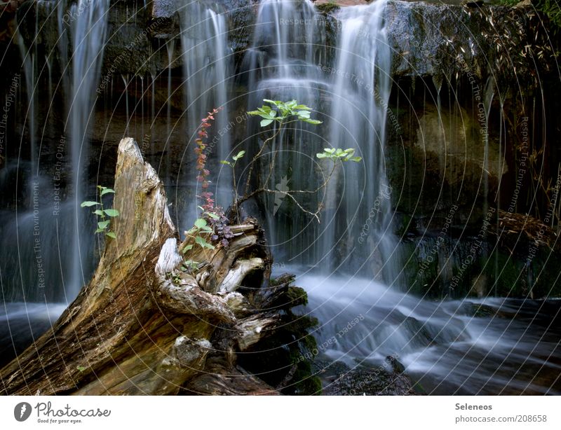 kleine Oase Ferien & Urlaub & Reisen Tourismus Ausflug Umwelt Natur Landschaft Wasser Klima Pflanze Felsen Wasserfall nass natürlich Erholung rein fließen