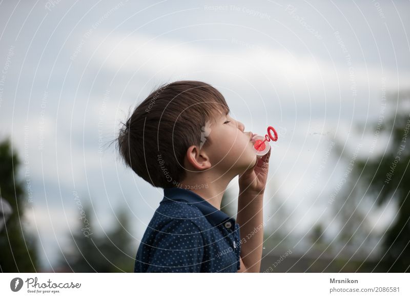seifenblasen Mensch Kind Junge Kindheit Leben 1 3-8 Jahre Spielen Seifenblase brünett Außenaufnahme Glück Farbfoto Textfreiraum oben Tag Schwache Tiefenschärfe