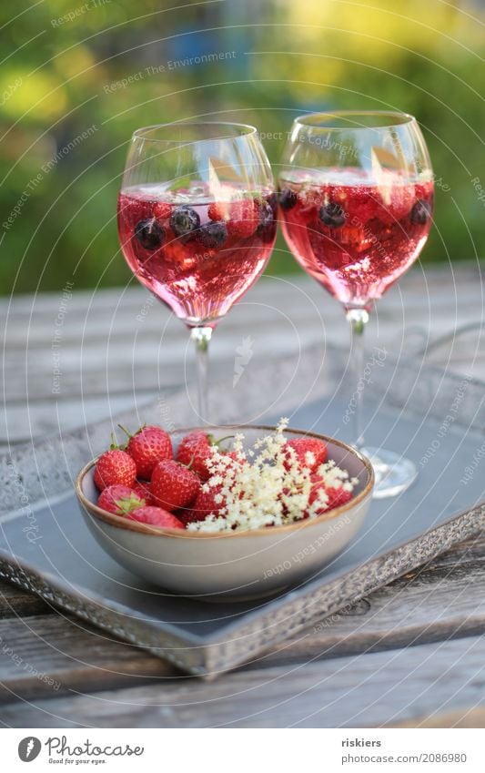 so schmeckt der Sommer iii Getränk Erfrischungsgetränk Alkohol Sekt Prosecco Glas lecker genießen Garten Erdbeeren Holunderblüte Bowle Blaubeeren Eiswürfel