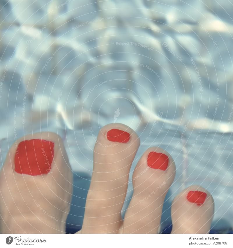 Vier gewinnt. Fuß Zehen Zehnagel blau rot Nagellack Pediküre Unterwasseraufnahme schrumplig Fliesen u. Kacheln Erholung Schwimmen & Baden Farbfoto
