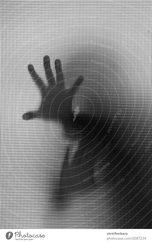 Menschliche Silhouette hinter einer Glasscheibe, die Hände berühren die Scheibe Frau Erwachsene Mann Hand 1 kämpfen Konflikt & Streit Aggression ästhetisch
