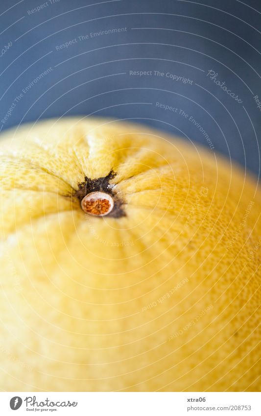 pomelo Lebensmittel Frucht Orange Zitrone Zitrusfrüchte Ernährung lecker Farbfoto Innenaufnahme Nahaufnahme Textfreiraum oben Hintergrund neutral gelb