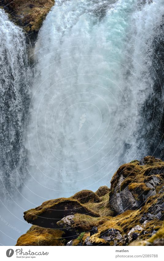 Island Natur Landschaft Urelemente Wasser Moos Felsen Berge u. Gebirge Wasserfall fallen Farbfoto Gedeckte Farben Außenaufnahme Menschenleer Textfreiraum links
