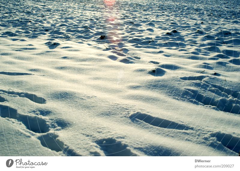 Spuren im Schnee :-) Ausflug Winter Winterurlaub wandern Umwelt Natur Landschaft Erde Klima Klimawandel Wetter Schönes Wetter Eis Frost glänzend leuchten
