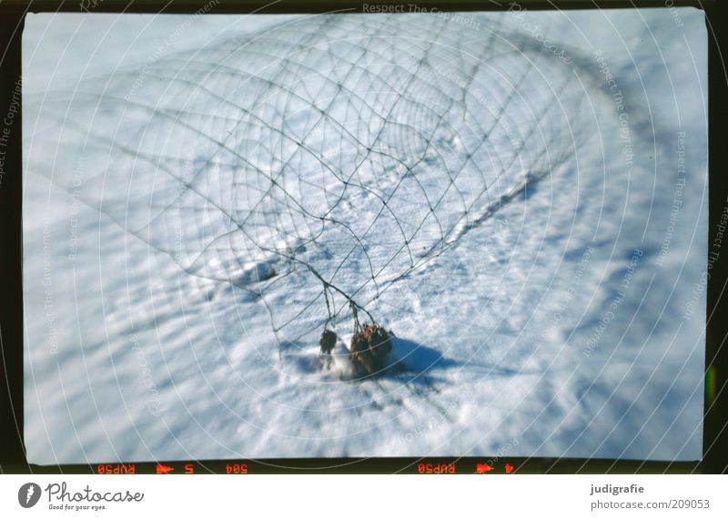 Schneezaun Natur Winter außergewöhnlich kalt kaputt Maschendraht Zaun Linie netzartig Netz Farbfoto Außenaufnahme Experiment Menschenleer Unschärfe