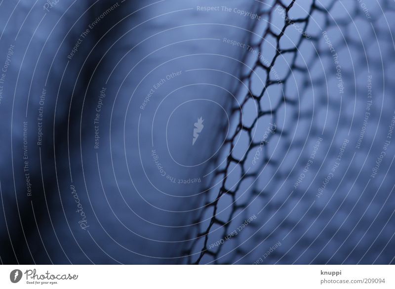 Netz Fliegengitter Insektenschutz Mikroskop Streifen Netzwerk eckig einfach schön blau schwarz Sechseck klein Unschärfe Linie netzartig Schutz Farbfoto