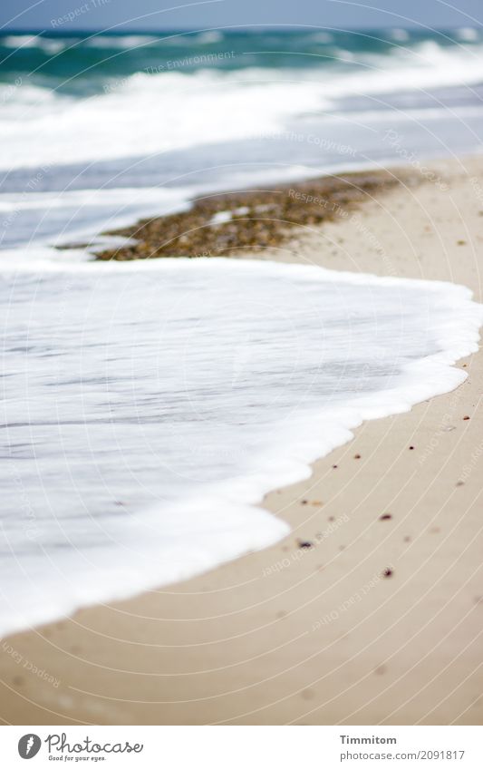 Weichspüler. Umwelt Natur Landschaft Urelemente Sand Wasser Himmel Schönes Wetter Strand Nordsee Dänemark Stein einfach natürlich blau braun weiß Gelassenheit