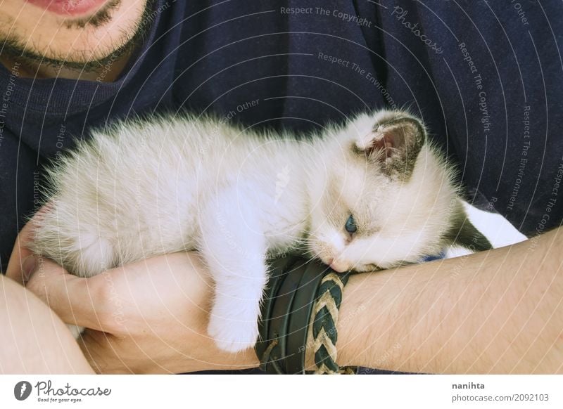 Kleines Kätzchen müde und liegend über den Arm eines Mannes Mensch maskulin Junger Mann Jugendliche 1 18-30 Jahre Erwachsene Tier Haustier Katze Tierjunges