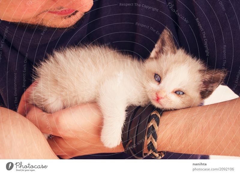 Junger Mann, der eine siamesische Katze des Schätzchens hält Mensch maskulin Jugendliche 1 18-30 Jahre Erwachsene T-Shirt Armband Dreitagebart Tier Haustier