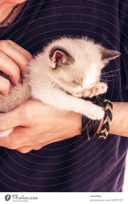 Junger Mann, der eine Schätzchenkatze mit seinen Händen hält Lifestyle Mensch maskulin Jugendliche 1 18-30 Jahre Erwachsene T-Shirt Armband Tier Haustier Katze