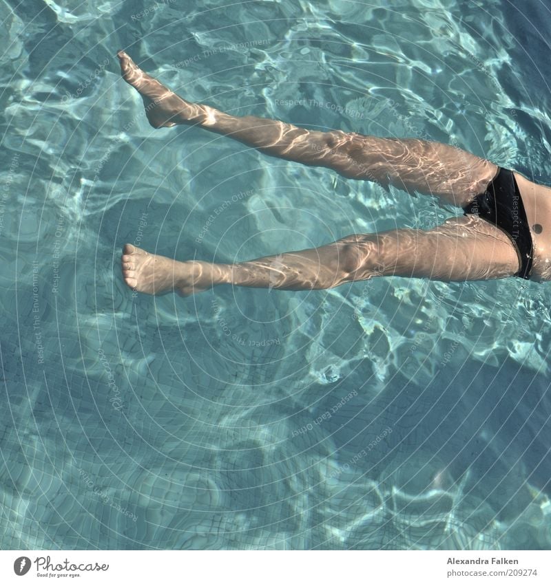 Frau badet VI feminin Junge Frau Jugendliche Erwachsene 1 Mensch 18-30 Jahre Schwimmen & Baden Erholung ästhetisch dünn kalt nass natürlich Floating ruhen