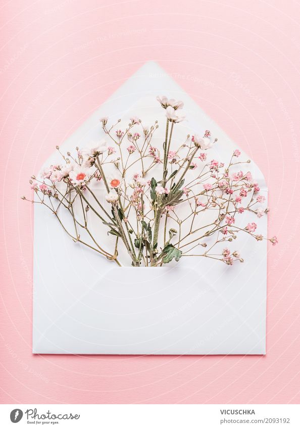 Geöffneter Briefumschlag mit Blumen Lifestyle Stil Design Feste & Feiern Valentinstag Muttertag Hochzeit Geburtstag feminin Natur Pflanze
