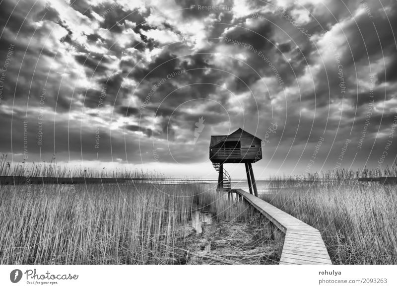 Weg zum hölzernen Aussichtsturm, Dollard, die Niederlande Haus Natur Landschaft Himmel Wolken Wetter Küste Nordsee Gebäude Wege & Pfade Holz beobachten